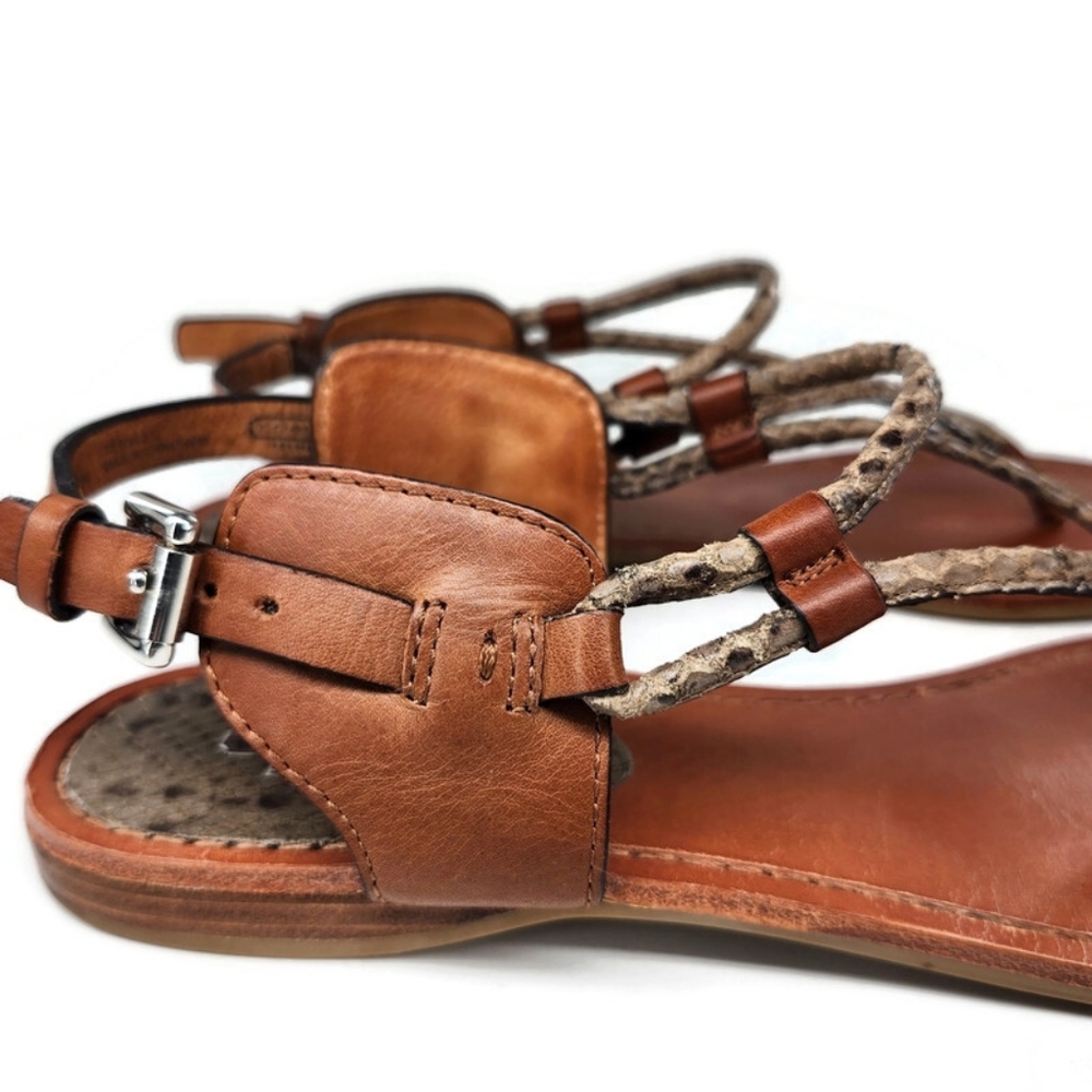 Coach Coco Tan Leather & Python Snake Print T-Strap Slingback Flat Thong Sandals - Picture 7 of 13